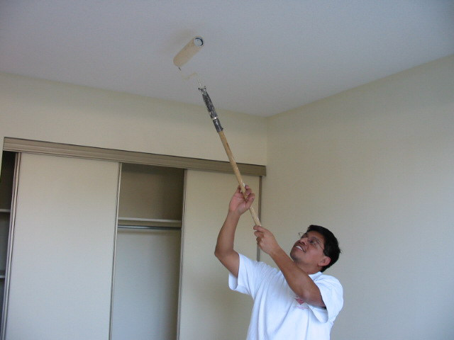 Image - DIY ceiling repair options