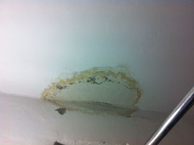 Image - DIY ceiling repair options