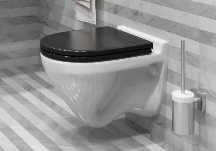 Image - Toilet lid with microlift DIY repair