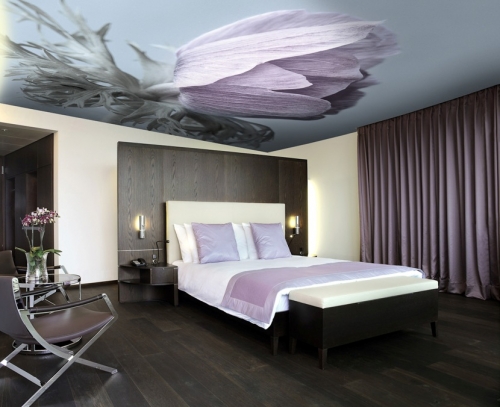 Image - DIY false ceiling repair