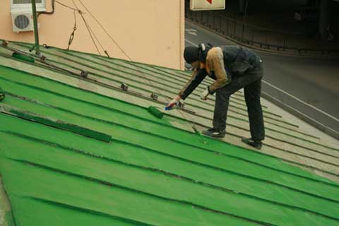 Image - DIY galvanized iron roof repair