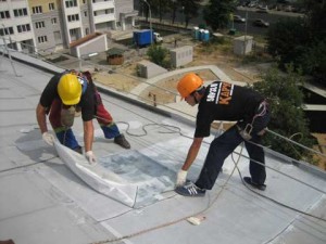 Image - DIY galvanized iron roof repair