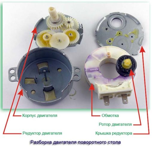 Image - The plate does not spin in the microwave; DIY repair
