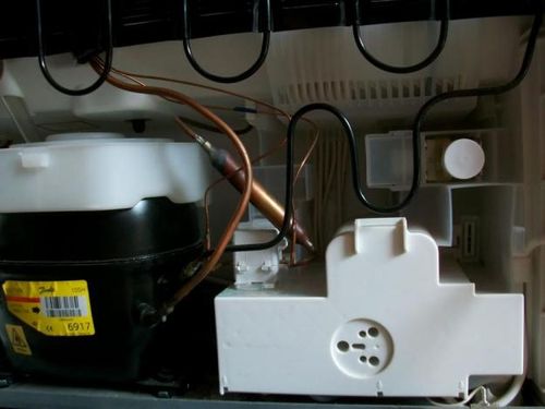 Image - Do-it-yourself device and repair of the Atlant refrigerator