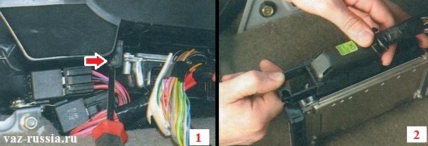 Image - DIY viburnum ebu repair