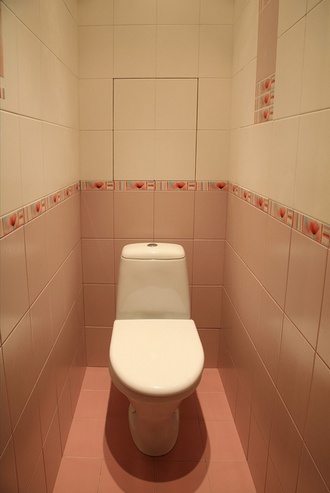 Image - DIY small toilet repair