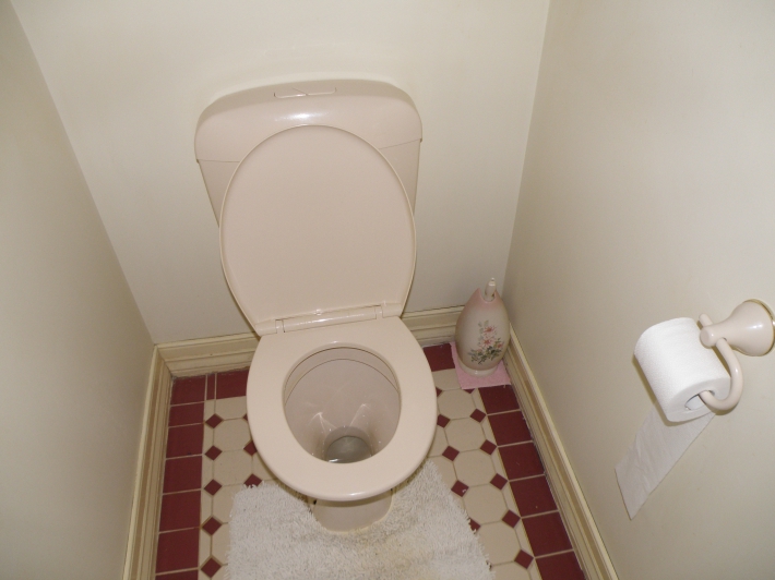 Image - DIY small toilet repair