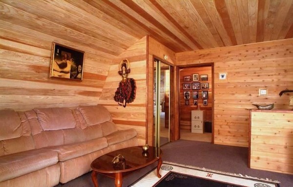 Image - DIY hut repair
