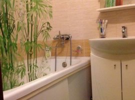 Image - DIY repair in a combined bathroom