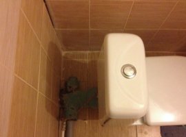 Image - DIY repair in a combined bathroom