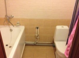 Image - DIY repair in a combined bathroom