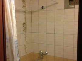Image - DIY repair in a combined bathroom