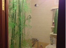 Image - DIY repair in a combined bathroom