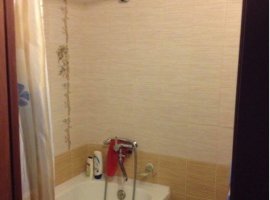 Image - DIY repair in a combined bathroom