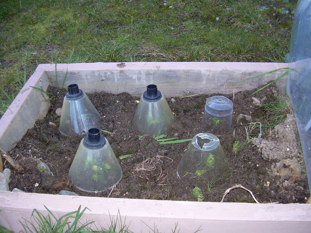 Image - DIY solar-powered garden lamp repair