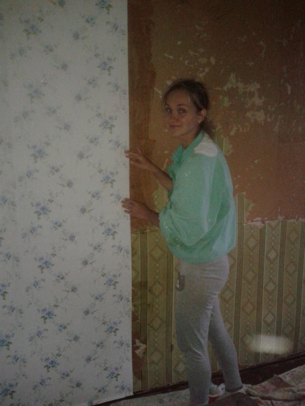 Image - Ideas for repairing a country house with your own hands