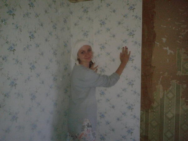 Image - Ideas for repairing a country house with your own hands