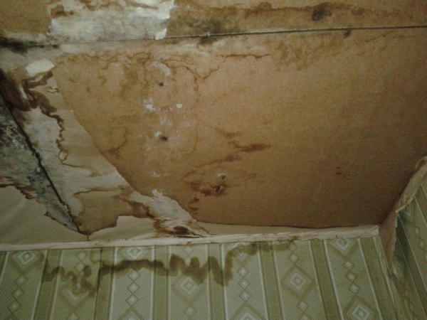 Image - Ideas for repairing a country house with your own hands