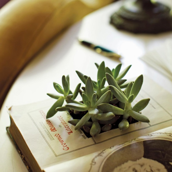 Image - Do-it-yourself repair of things