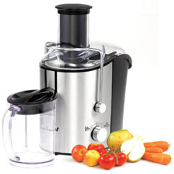 Image - Juicer zhuravinka DIY repair