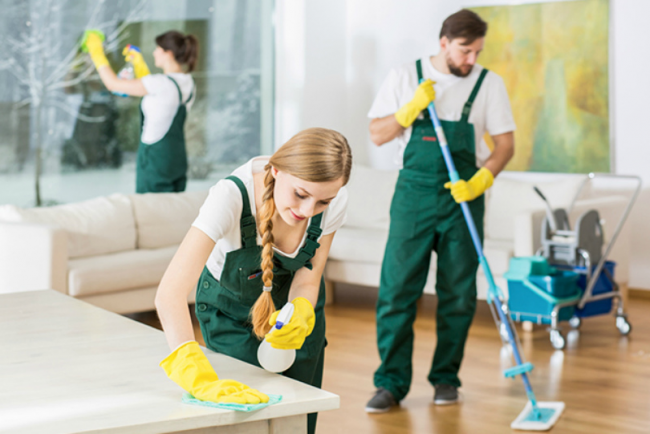 Image - DIY cleaning after repair