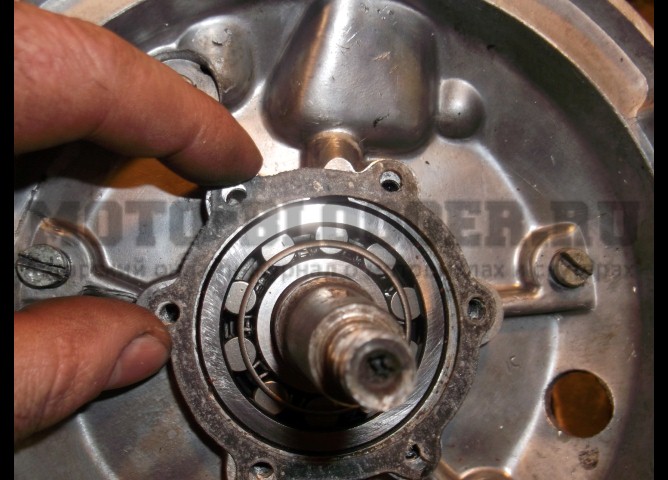 Image - DIY motorcycle ant repair